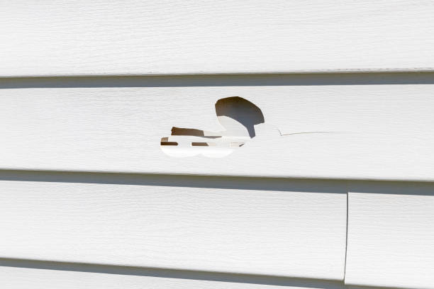 Best Composite Siding  in Mountain View, CA